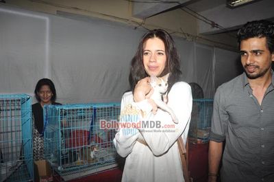 Kalki Koechlin, Priyanka Bose, Gulshan Devaiah, Lauren Gottlieb at Pet Adoption 2013