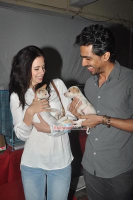 Kalki Koechlin, Priyanka Bose, Gulshan Devaiah, Lauren Gottlieb at Pet Adoption 2013