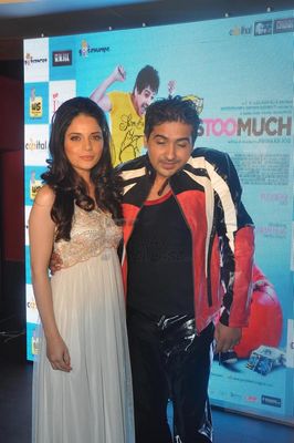 Pushkar Jog & Armeena Rana Khan at music launch of film 'It's Too Much'