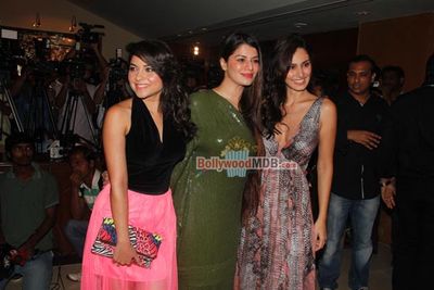 Film 'GRAND MASTI' success party