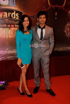 Bolly & TV Celebs at the Indian Television Academy (ITA) Awards 2013