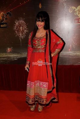 Bolly & TV Celebs at the Indian Television Academy (ITA) Awards 2013
