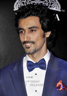 Bollywood Celebrities on the red carpet at Miss Diva 2013