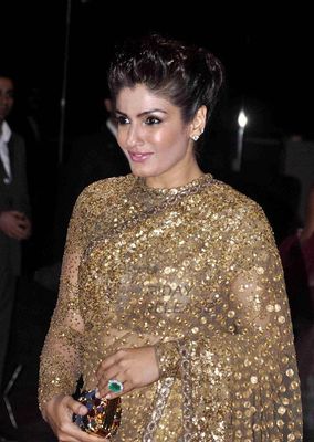 Bollywood Celebrities on the red carpet at Miss Diva 2013