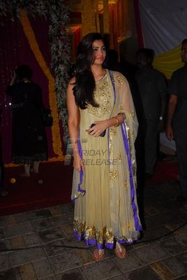 Salman Khan's Ganpati Visarjan celebrations
