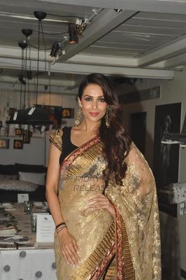 Bollywood celebrities at the preview of 'The House of Style' for Blenders Pride Fashion Tour 2013