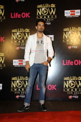 Bolly Celebs at the Life OK Now Awards 2014