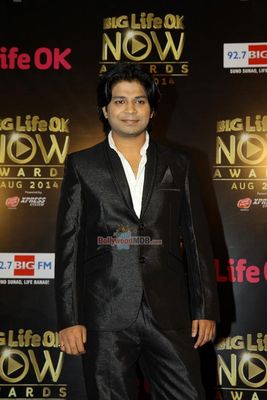 Bolly Celebs at the Life OK Now Awards 2014