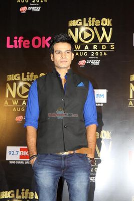 Bolly Celebs at the Life OK Now Awards 2014