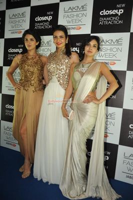 Hot Celebs snapped on Grand Finale day of LFW Winter Festive 2014
