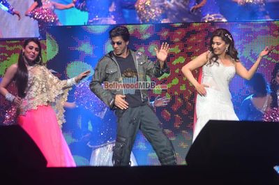 Shah Rukh Khan, Madhuri Dixit, Yo Yo Honey Singh perform at Temptation Reloaded 2014 concert