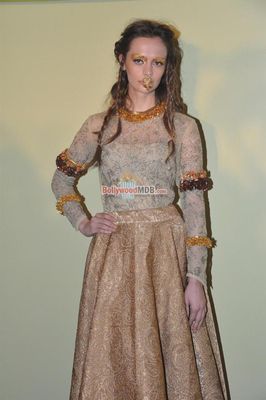 Hot Celebs at Lakme Fashion Week 2014 press meet