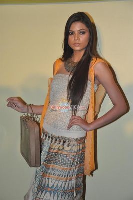 Hot Celebs at Lakme Fashion Week 2014 press meet