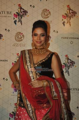 Bolly Celebs on the ramp at the Retail Jeweller India Trendsetters 2014 show