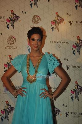 Bolly Celebs on the ramp at the Retail Jeweller India Trendsetters 2014 show