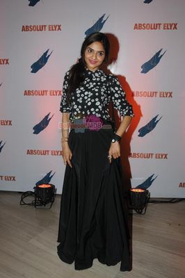 Hot Bolly and Page 3 Celebs at Suchitra Pillai hosted ABSOLUT ELYX PARTY