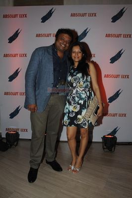 Hot Bolly and Page 3 Celebs at Suchitra Pillai hosted ABSOLUT ELYX PARTY