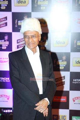 Bolly Celebs at Radio Mirchi Music Awards 2014