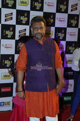 Bolly Celebs at Radio Mirchi Music Awards 2014