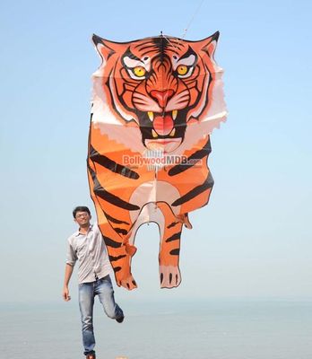 Nandita Das at the 26th International Kite Festival