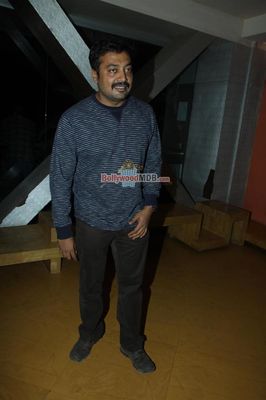 Bolly Celebs at Hollywood film 'AMERICAN HUSTLE' special screening hosted by Anurag Kashyap