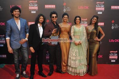 Bolly Celebs at the 20th Annual Life OK Screen Awards