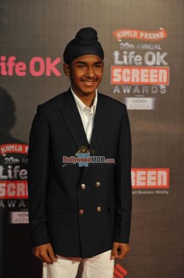 Bolly Celebs at the 20th Annual Life OK Screen Awards