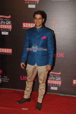 Bolly Celebs at the 20th Annual Life OK Screen Awards