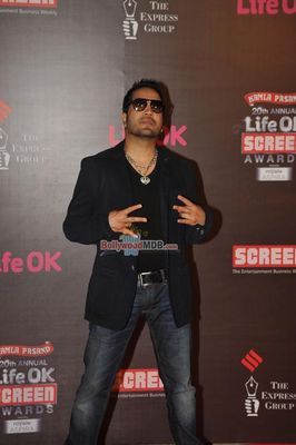 Bolly Celebs at the 20th Annual Life OK Screen Awards