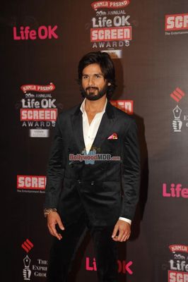Bolly Celebs at the 20th Annual Life OK Screen Awards