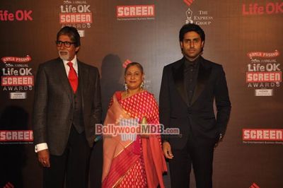 Bolly Celebs at the 20th Annual Life OK Screen Awards