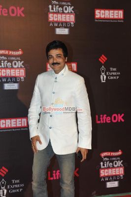 Bolly Celebs at the 20th Annual Life OK Screen Awards
