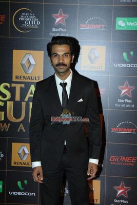 Bollywood Celebs at the 9th Renault Star Guild Awards