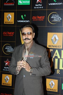 Bollywood Celebs at the 9th Renault Star Guild Awards