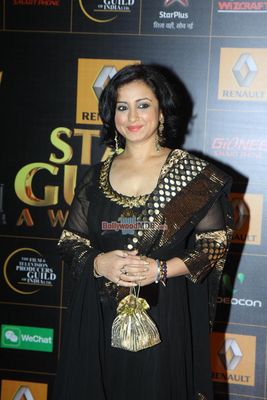 Bollywood Celebs at the 9th Renault Star Guild Awards