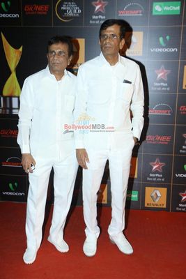 Bollywood Celebs at the 9th Renault Star Guild Awards