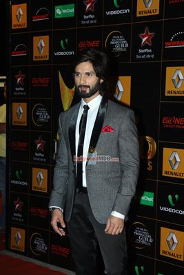 Bollywood Celebs at the 9th Renault Star Guild Awards