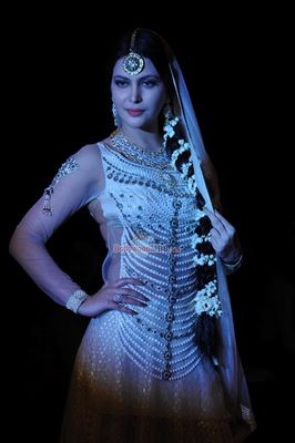 Stars walk the ramp for the Gitanjali Gems Ltd show at the India International Jewellery Week 2014