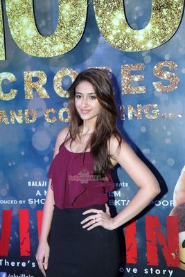 Hot Bolly Celebs at film 'EK VILLAIN' 100 crore success party