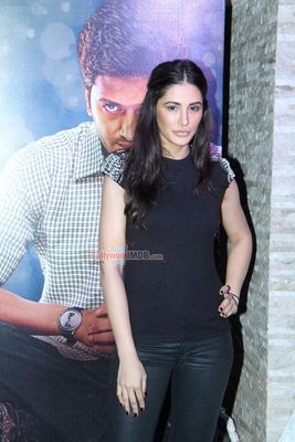 Hot Bolly Celebs at film 'EK VILLAIN' 100 crore success party