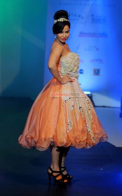 Bolly Celebs at the Tassel Fashion & Lifestyle Awards 2014