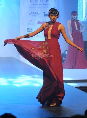 Bolly Celebs at the Tassel Fashion & Lifestyle Awards 2014