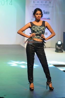 Bolly Celebs at the Tassel Fashion & Lifestyle Awards 2014