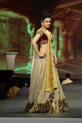 Bolly Celebs walk the ramp at 'Caring with Style' 9th Annual Fashion Show