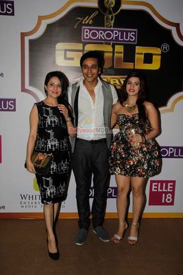Hot TV Celebs at the the 7th Boroplus Zee Gold Awards 2014