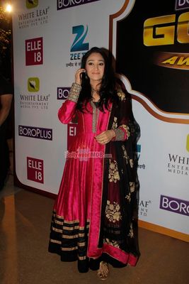 Hot TV Celebs at the the 7th Boroplus Zee Gold Awards 2014