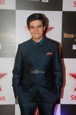 Bollywoods celebs studs Star Box Office India Awards 2014