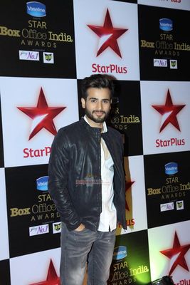 Bollywoods celebs studs Star Box Office India Awards 2014