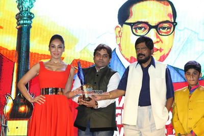 Bolly Celebs at Dr Ambedkar Awards 2015