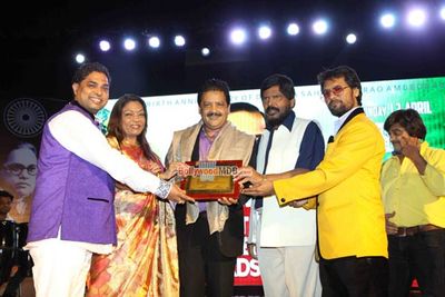 Bolly Celebs at Dr Ambedkar Awards 2015